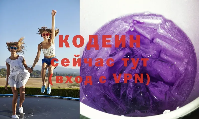 это как зайти  продажа наркотиков  Электросталь  Кодеиновый сироп Lean Purple Drank 