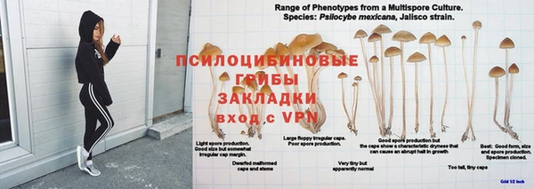 MDMA Богородск